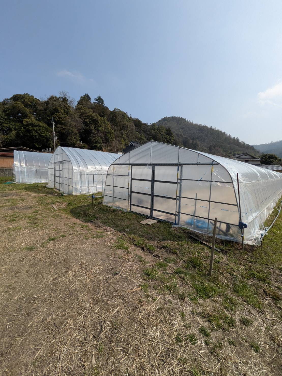 育苗ハウス