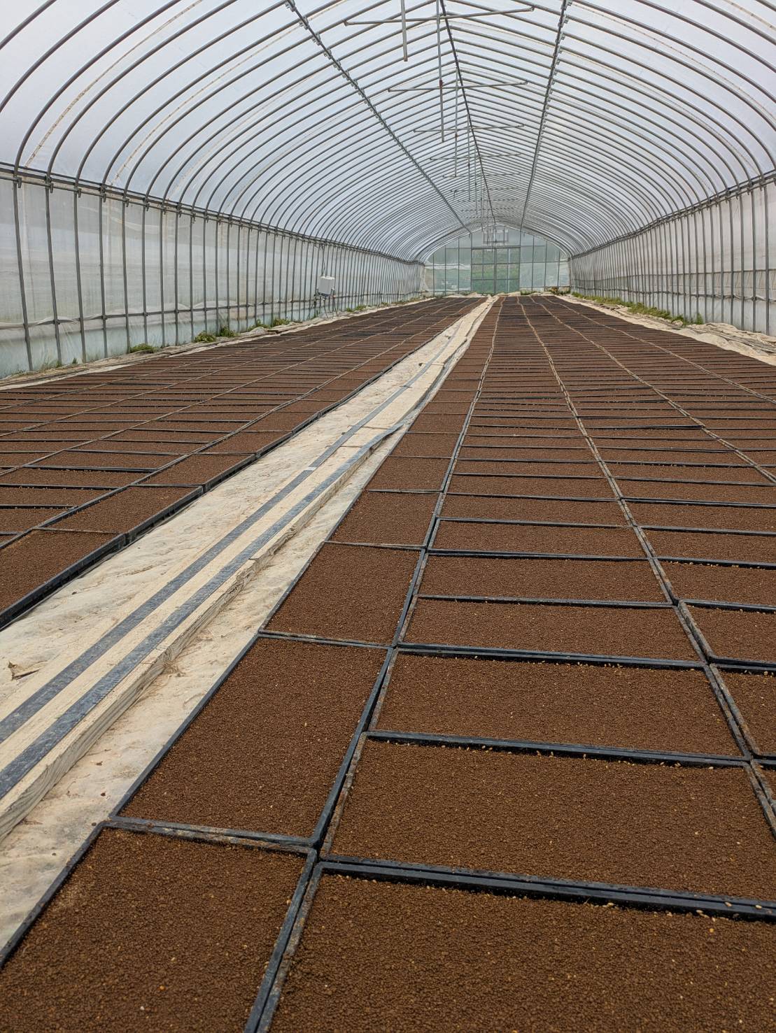 育苗ハウス